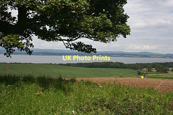 Photo 6"x4" Under the Spreading Sycamore Old Philpstoun c2011