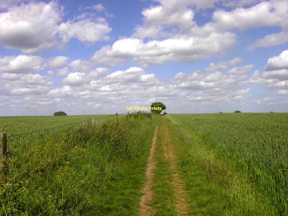 Photo 6"x4" The Top of Cumnor Hill Botley\/SP4805 c2011