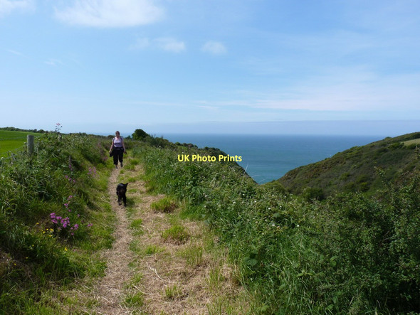 Photo 6"x4" On the Coastal Path above the Allt y Gwrddon Parcllyn c2011