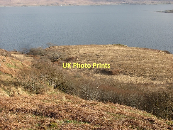 Photo 6"x4" Rough grazing above Loch na Keal Killiemor c2011