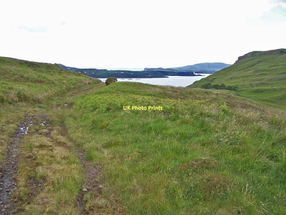 Photo 6"x4" Track through Sumardale Coillore c2011 P1