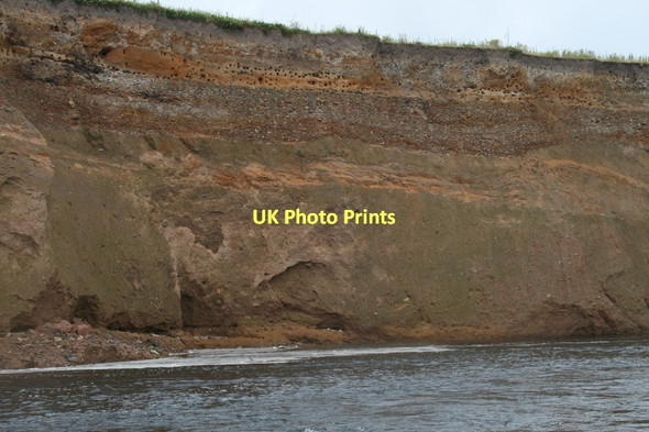 Photo 6"x4" Behold the Sand Martin Colony overlooking the Spey Bogmoor c2011