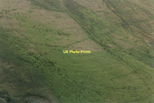 Photo 6"x4" Old double-enclosure below Tarren Bwlch-gwyn Aberhosan c1990