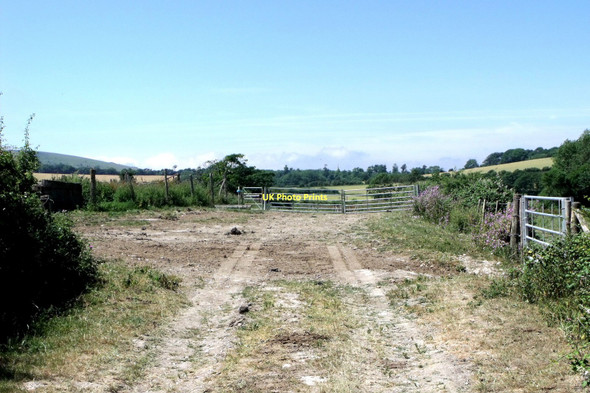 Photo 6"x4" Farm track, Charleston Farmhouse, East Sussex West Firle c2010