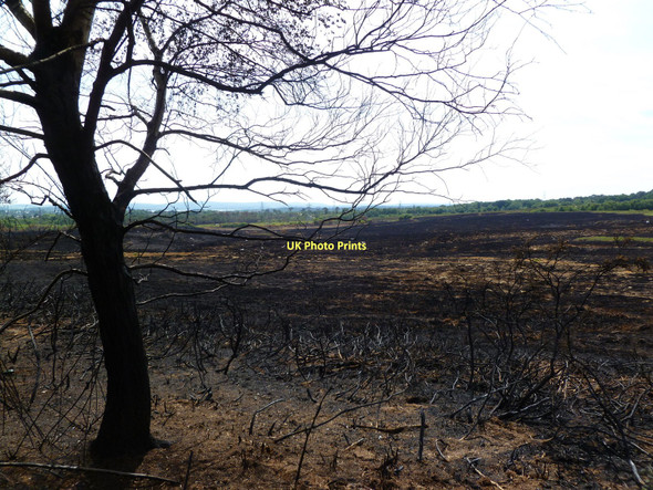 Photo 6"x4" Upton Heath, site of fire i) Beacon Hill\/SY9794 c2011