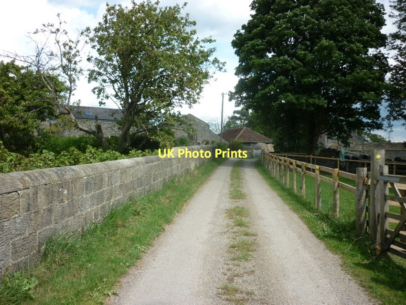 Photo 6"x4" The way to Spruisty Hill Farm, near Knox Killinghall c2011