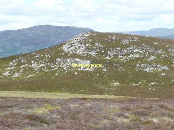 Photo 6"x4" Red deer on Am Buachaille Am Buachaille\/NN7494 c2011