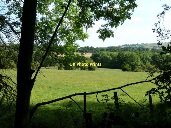Photo 6"x4" View from woodland edge Dronfield c2011