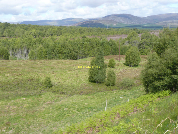 Photo 6"x4" Looking north west out of Glen Tromie Drumguish\/NN7999 c2011