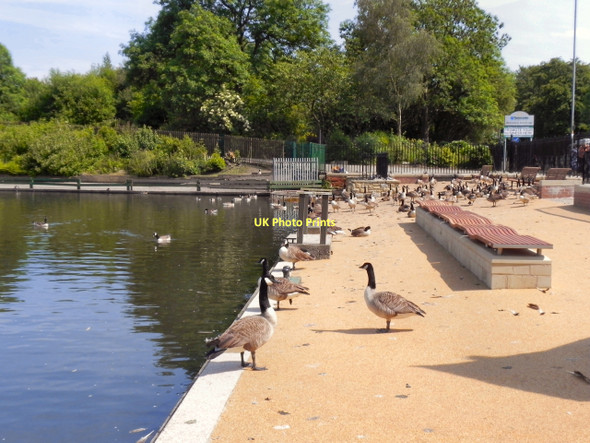 Photo 6"x4" Stamford Park Lake Ashton-Under-Lyne c2011