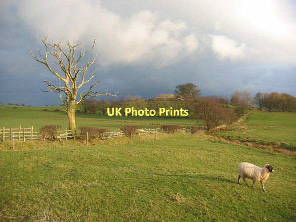 Photo 6"x4" Grazing land near Cantsfield Cantsfield c2007