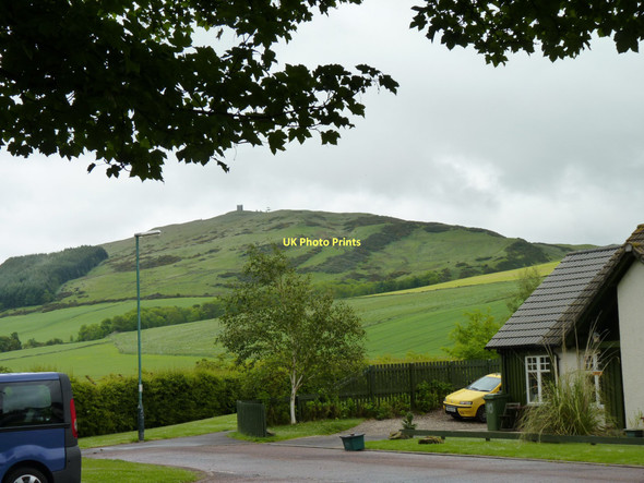 Photo 6"x4" Bulb Park houses Newtyle\/NO2941 c2011