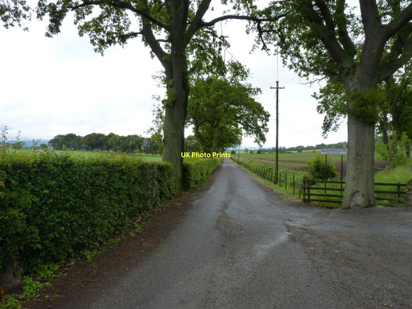 Photo 6"x4" Burnmouth farm road Newtyle\/NO2941 c2011