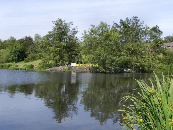 Photo 6"x4" Stamford Park Upper Lake Ashton-Under-Lyne c2011