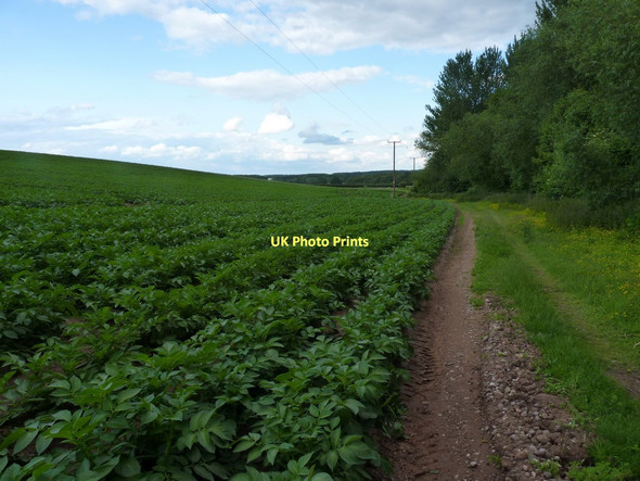 Photo 6"x4" Footpath near The Roundabout Chadwell\/SJ7814 c2011