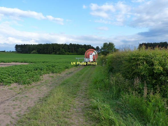 Photo 6"x4" A good attempt to block the bridleway Moreton\/SJ7917 c2011
