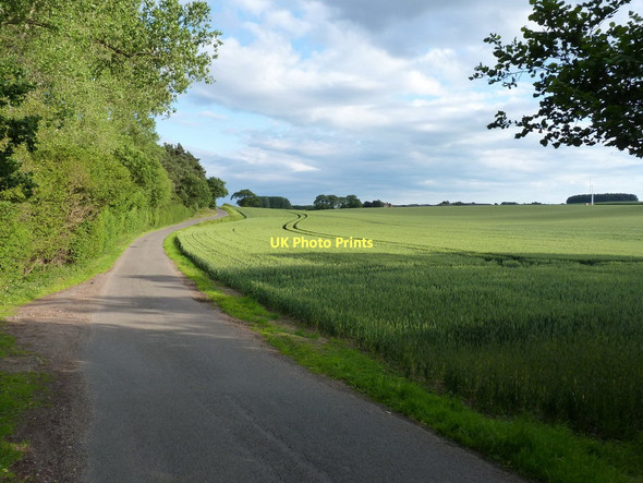 Photo 6"x4" Along the lane to Lynn farm Lynn\/SJ7815 c2011