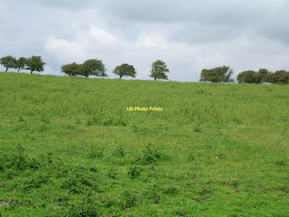 Photo 6"x4" Farmland near Heaton Heaton\/SD4460 c2011