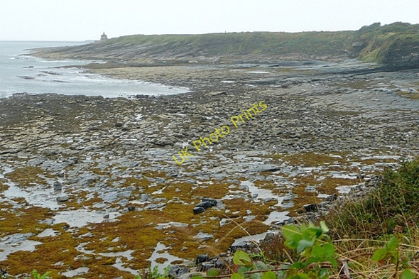 Photo 6"x4" Coast near Howick Craster c2009