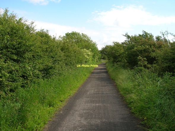 Photo 6"x4" Cycle track towards Ashton Hall Lancaster c2011