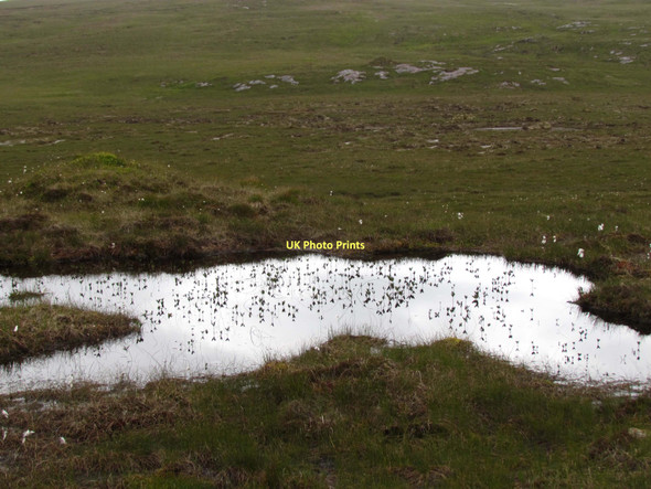 Photo 6"x4" Bog SW of Farrmheall Meall na M\u00f2ine\/NC2956 c2011