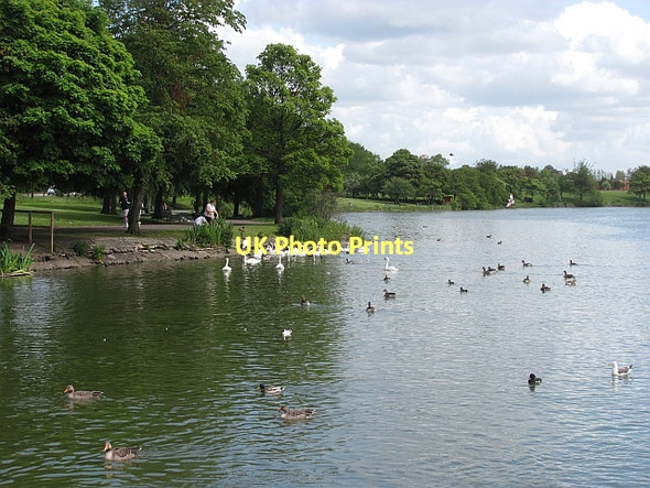 Photo 6"x4" Hogganfield Loch Provanmill c2011