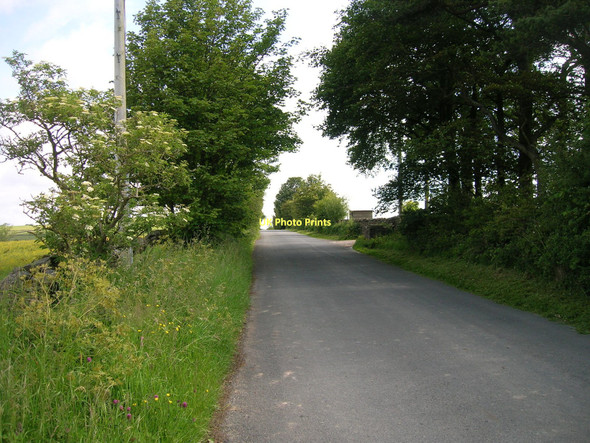 Photo 6"x4" Aughton Road towards Gressingham Aughton\/SD5567 c2011