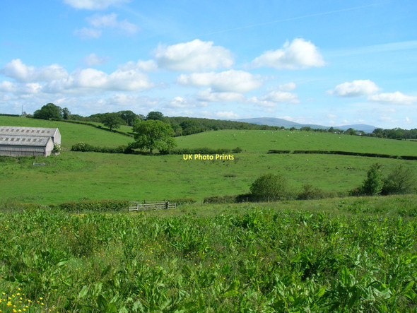 Photo 6"x4" Farmland, Greenside Farm Low Bentham c2011