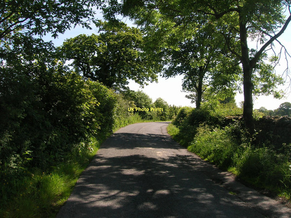 Photo 6"x4" Mewith Lane heading east Low Bentham c2011