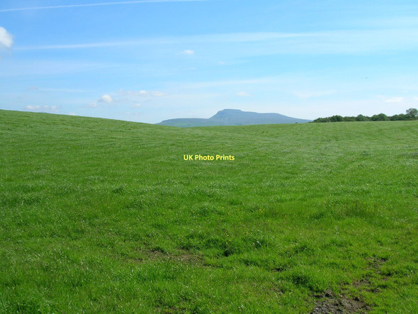 Photo 6"x4" Farmland off Cross Road Low Bentham c2011
