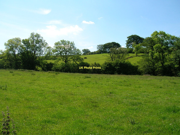 Photo 6"x4" Farmland off Mewith Lane High Bentham c2011