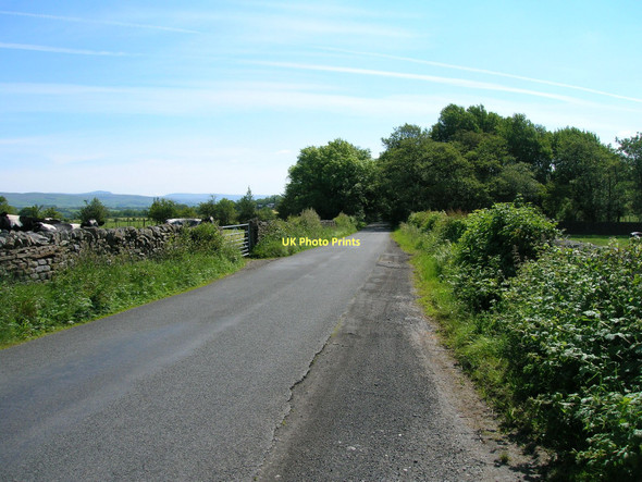 Photo 6"x4" West Hill Lane heading east High Bentham c2011