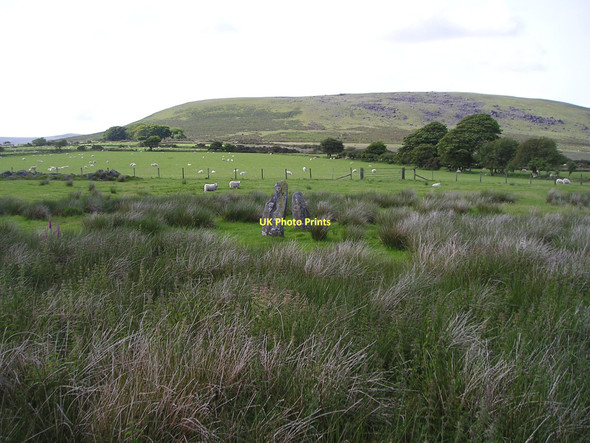 Photo 6"x4" Ancient standing stones Mynachlog-ddu c2011