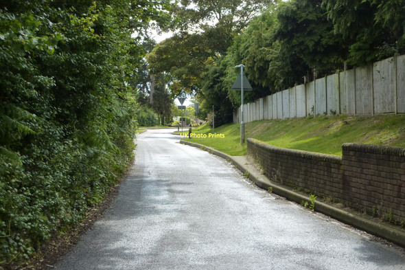 Photo 6"x4" Little Tarrat Lane, Yeovil Yeovil c2011
