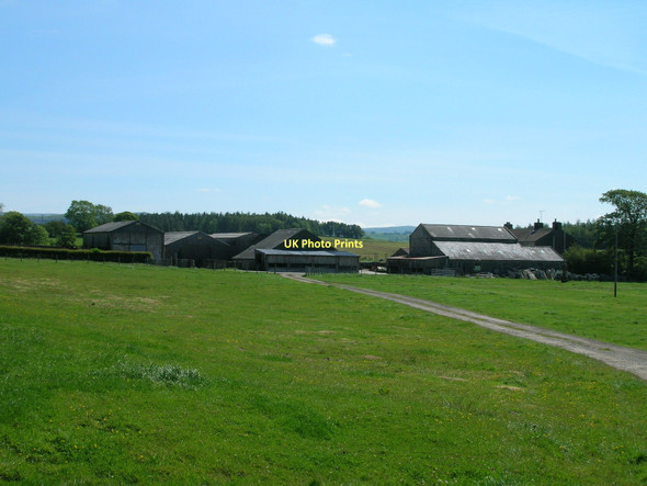 Photo 6"x4" Crina Bottom Farm Clapham\/SD7469 c2011