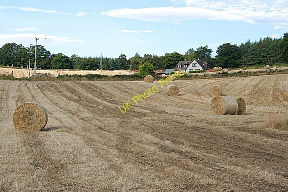 Photo 6"x4" East Bandeen Muir of Fowlis c2009