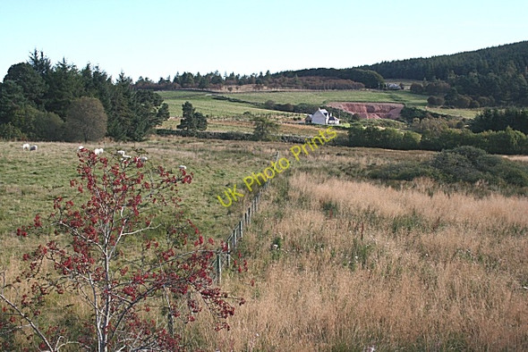 Photo 6"x4" Burnhead of Perkhill Perkhill c2009