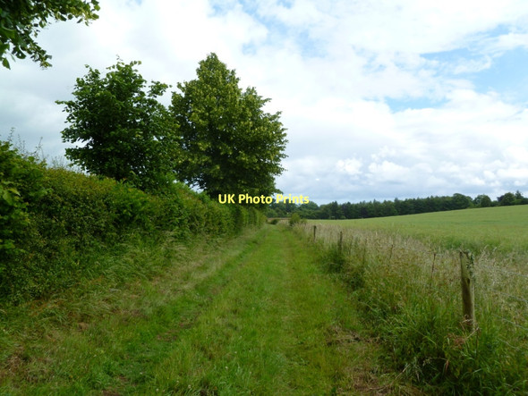 Photo 6"x4" Manswood, footpath Manswood c2011
