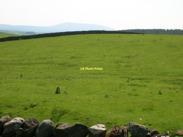 Photo 6"x4" Farmland off Scosthrop Lane Airton c2011