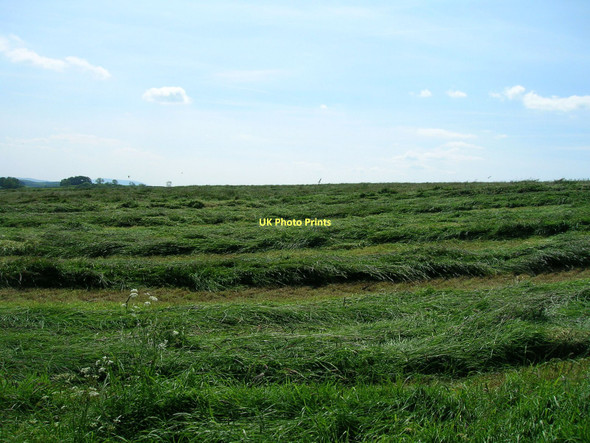 Photo 6"x4" Field off Hall Brow Airton c2011