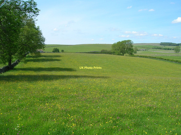 Photo 6"x4" Farmland near Hetton Hetton c2011