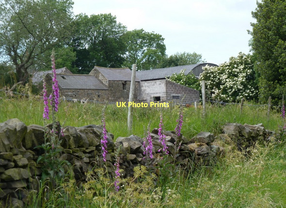 Photo 6"x4" Near Birkinlane Farm Northedge c2011