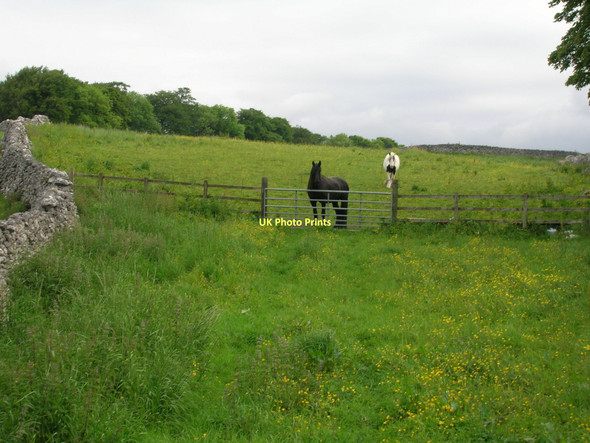 Photo 6"x4" Grazing land of Thorpe Lane Thorpe\/SE0161 c2011