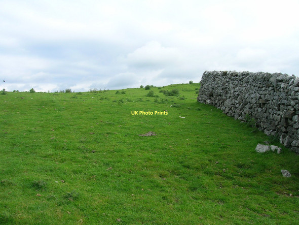 Photo 6"x4" Grazing north of Thorpe Lane Thorpe\/SE0161 c2011