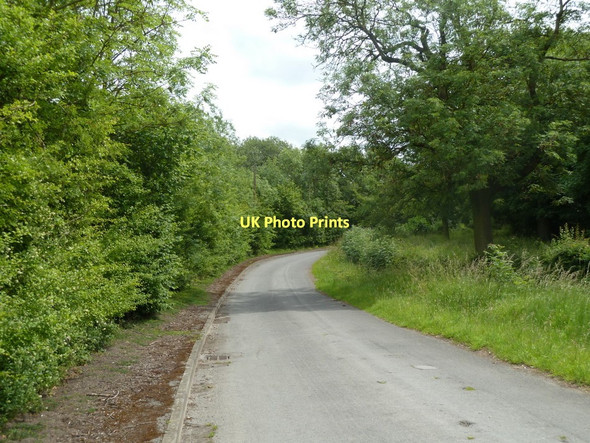Photo 6"x4" Delves Lane Waleswood c2011