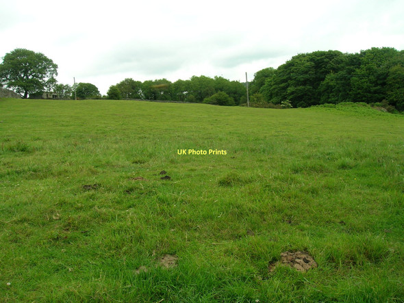 Photo 6"x4" Farmland near Smelthouses Smelthouses c2011
