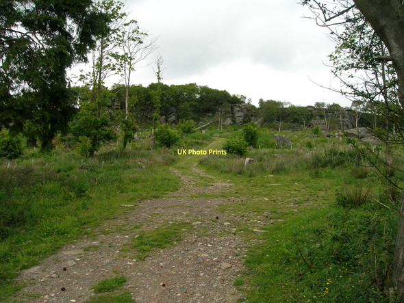 Photo 6"x4" Track, Braisty Woods Low Laithe\/SE1963 c2011