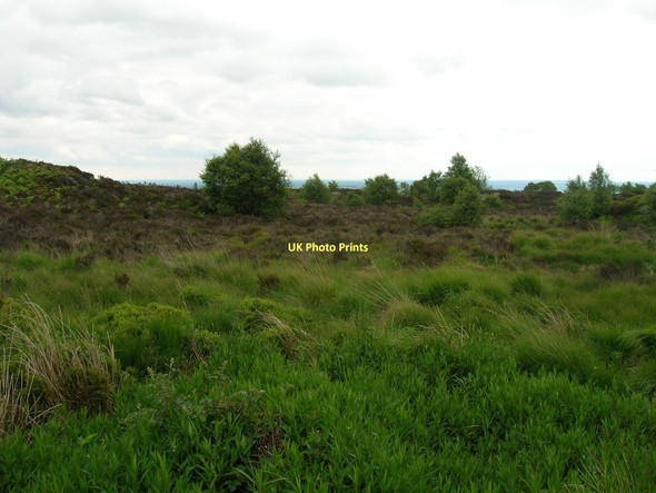 Photo 6"x4" Brimham Moor Warsill c2011