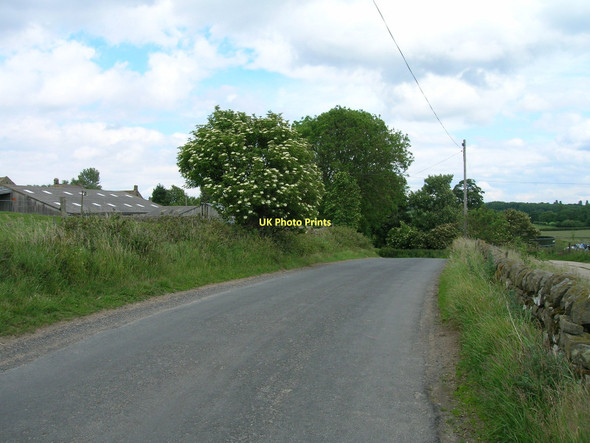Photo 6"x4" Watergate Road heading east Bishop Thornton c2011