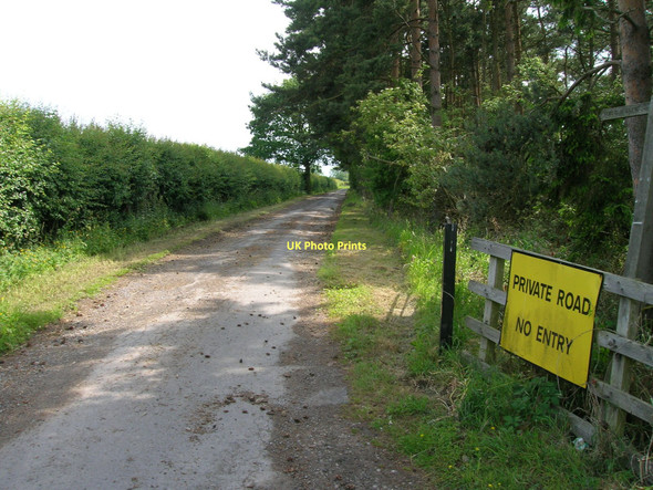 Photo 6"x4" Track to Foster Flatts Farm Copgrove c2011